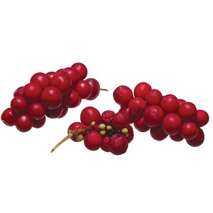 Schisandra (Wu-Wei-Zi) Extract 500 mg 100 capsules