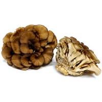 Maitake MD-frakció 400mg kivonat 20:1 + C-Vitamin 100 kapszula