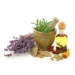 All Herbs and Plant Extracts of BioVitaWeb